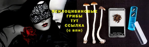 прущая мука Белокуриха