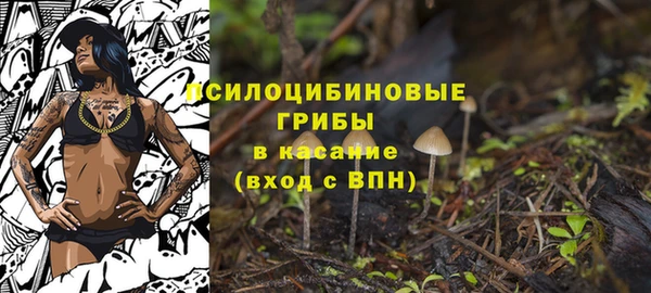 амф Беломорск