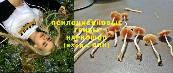 PSILOCYBIN Волоколамск