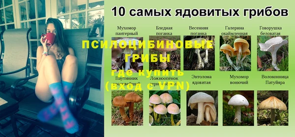 амф Беломорск