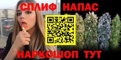 МДПВ Апрелевка