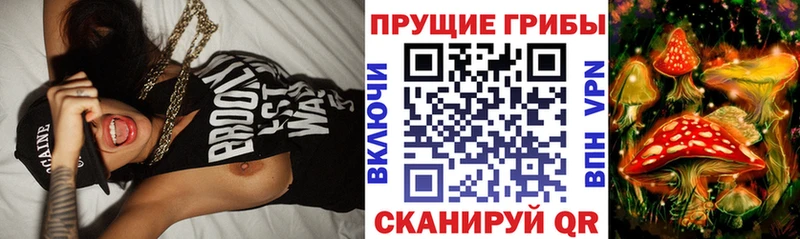 мориарти состав  Гудермес  Псилоцибиновые грибы Cubensis 