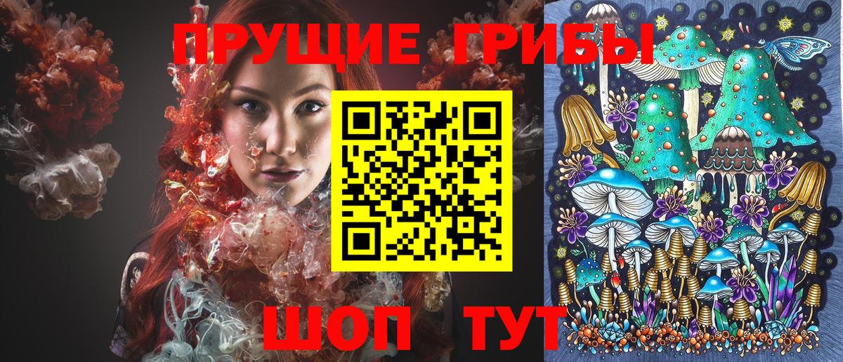 Гудермес  Псилоцибиновые грибы ЛСД  Вход с VPN 